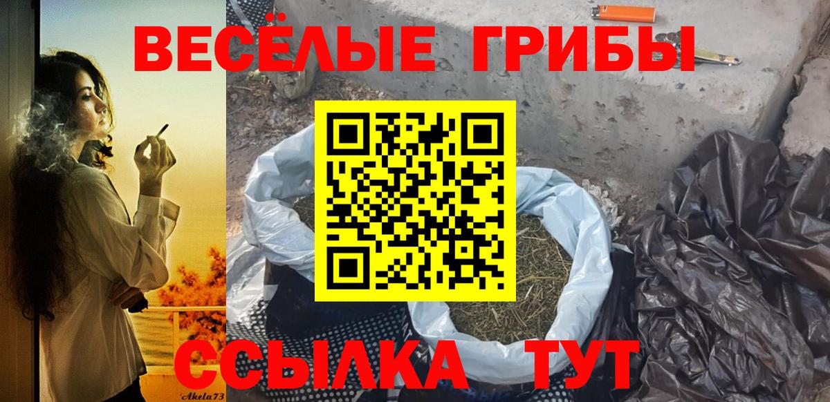 Великий Устюг  Псилоцибиновые грибы мухоморы  Вход с VPN 