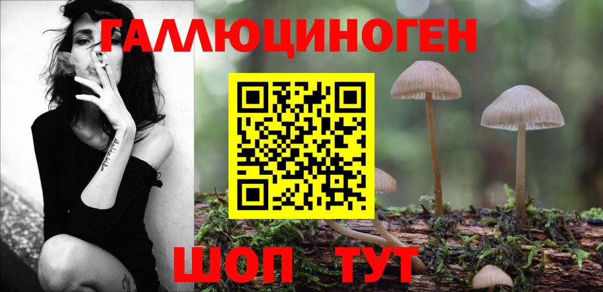 Галлюциногенные грибы Psilocybine cubensis Великий Устюг